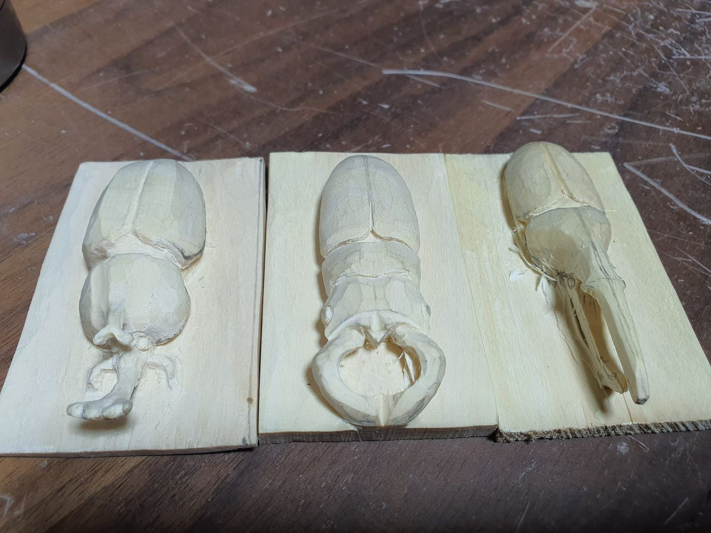 Beetles Carved In Lime photo 2