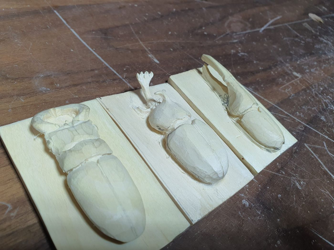 Beetles Carved In Lime photo 3