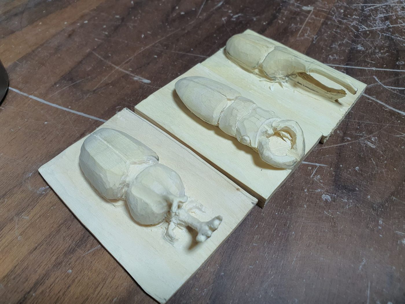Beetles Carved In Lime photo 4
