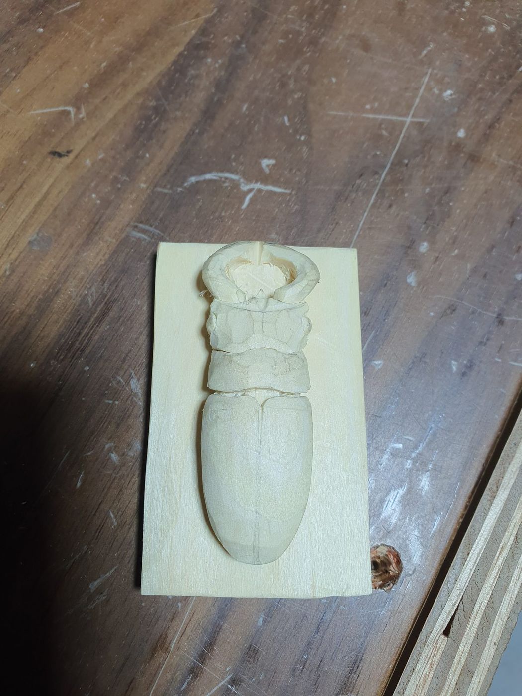 Beetles Carved In Lime photo 6