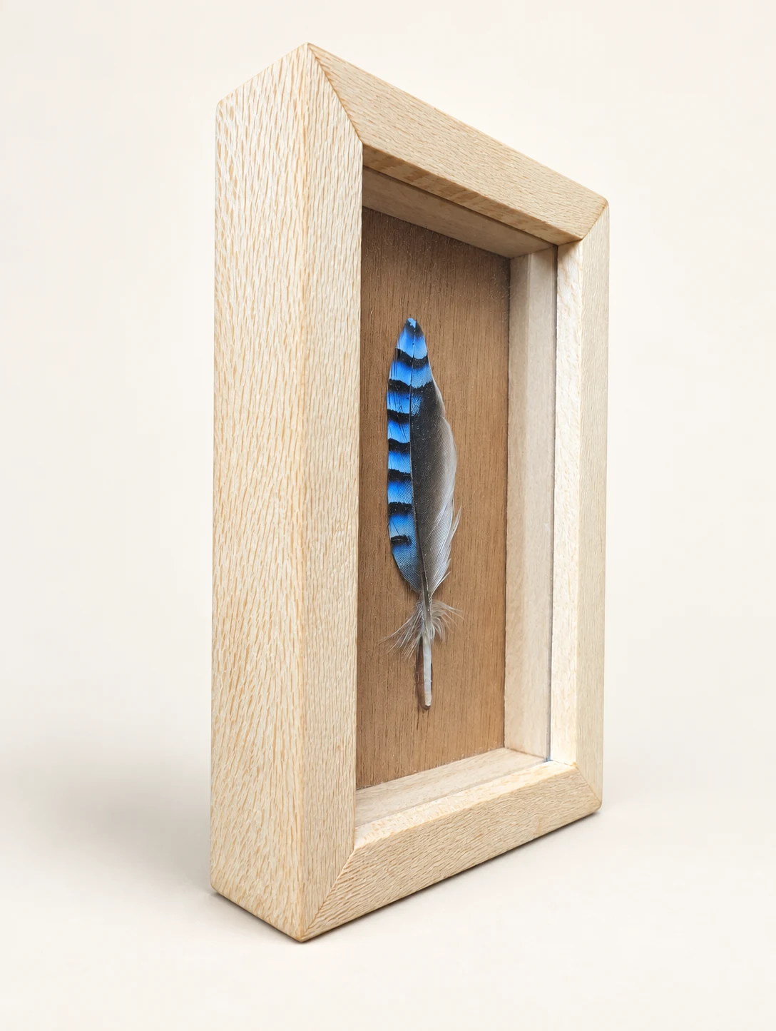 Angled view showing the depth and pale grain of the feather frame
