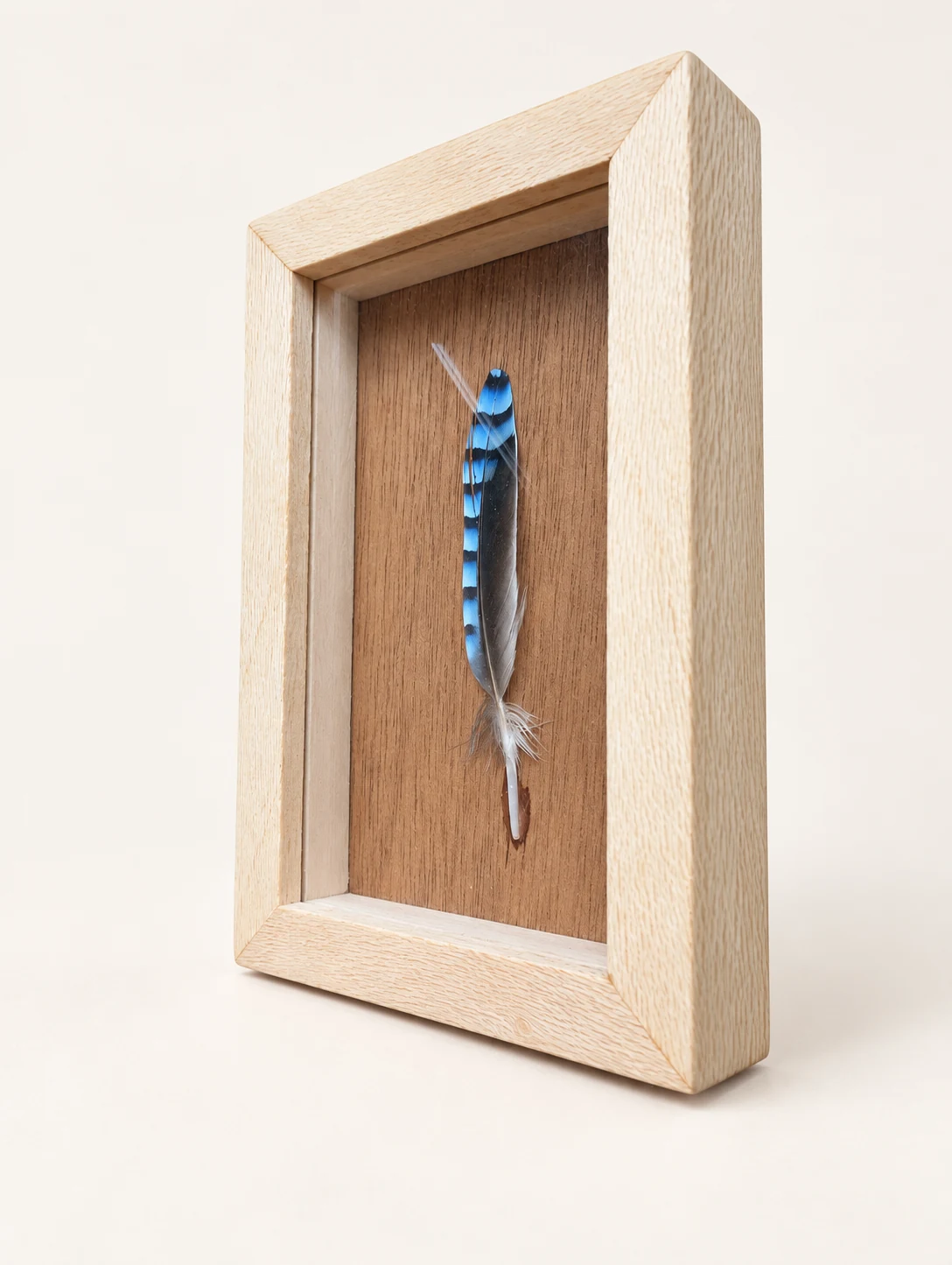 Opposite angled view of the framed blue and black feather