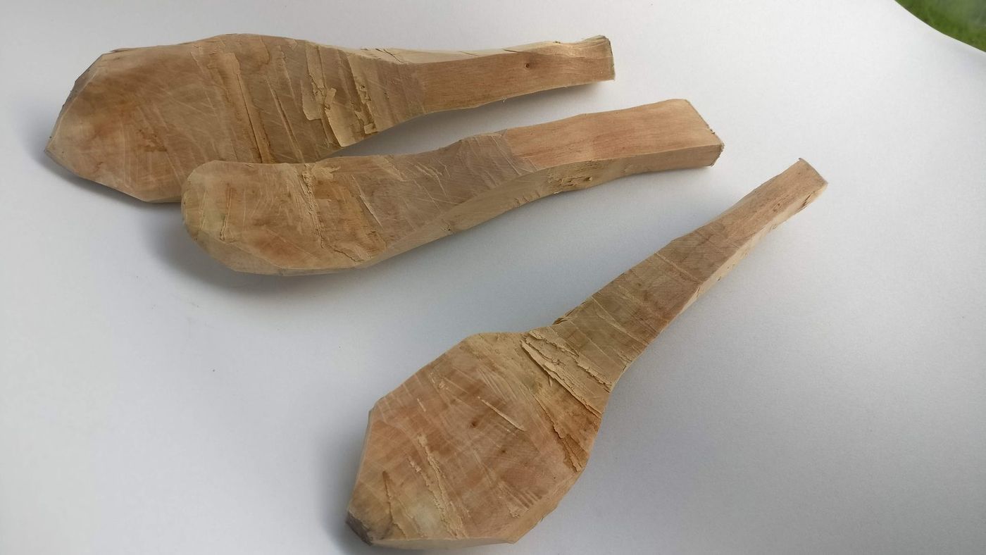 Spoon Carving Wooden Blanks photo 6